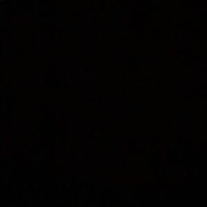 Meet your Posher, Lou